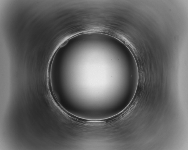 X0000096201487200801181331