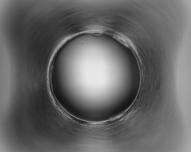 X0000096201488200801181331