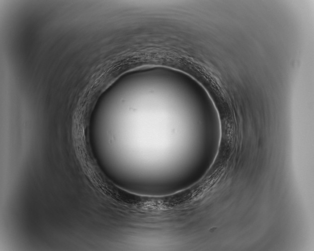 X0000096201489200801181330