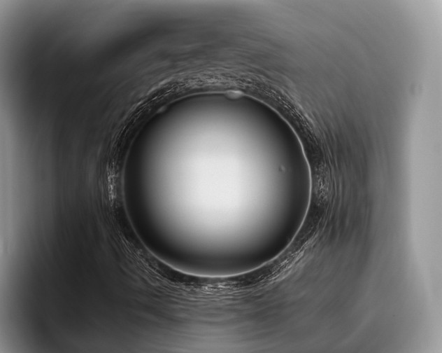 X0000096201490200801181330