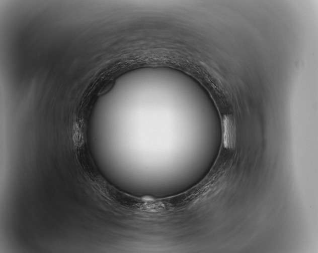 X0000096201491200801181330