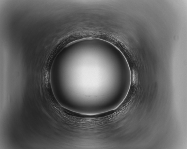 X0000096201492200801181330