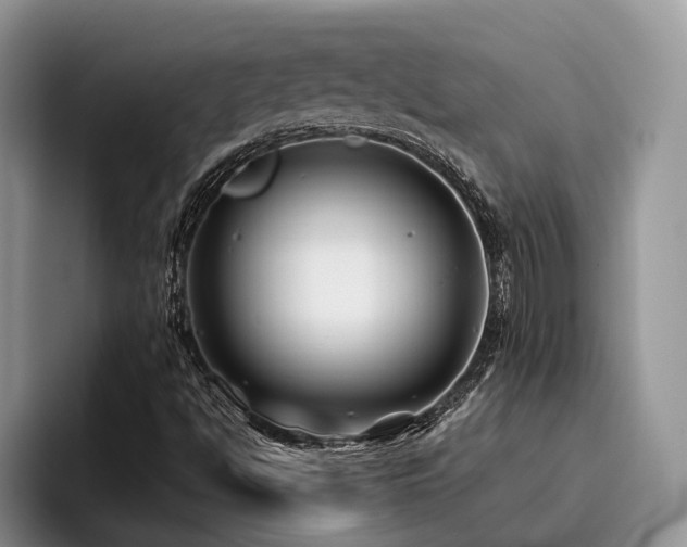 X0000096201494200801181330