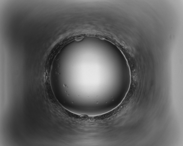 X0000096201495200801181330