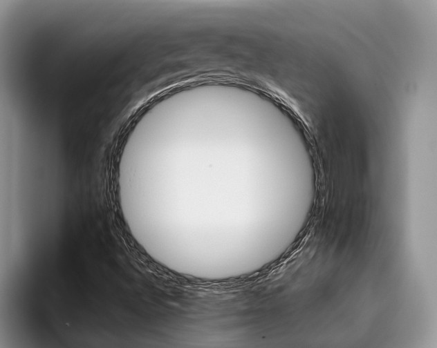 X0000096201496200801181330