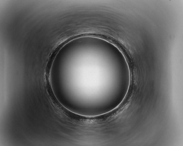 X0000096201497200801181330