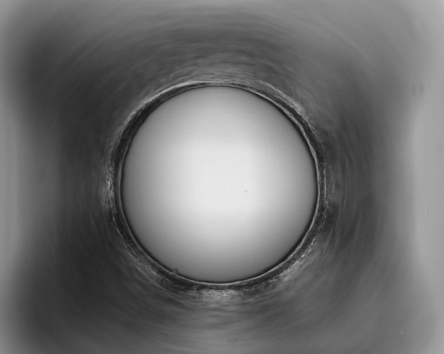 X0000096201498200801181330