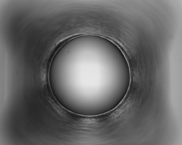 X0000096201499200801181330