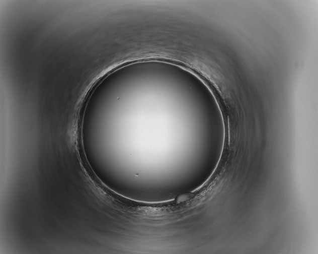 X0000096201500200801181330