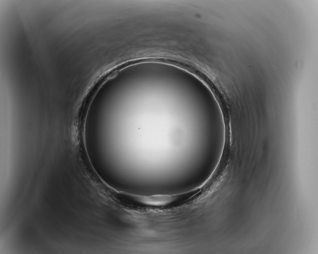 X0000096201501200801181330