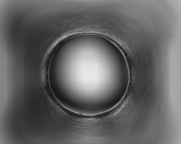 X0000096201502200801181330