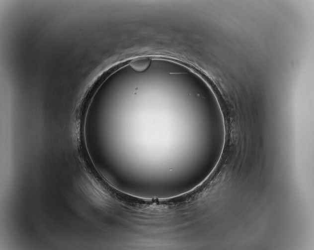 X0000096201503200801181330