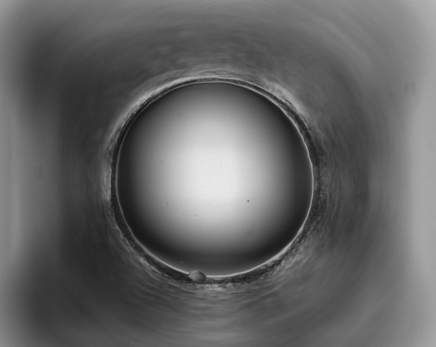 X0000096201504200801181330