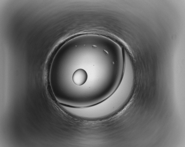 X0000096201506200801181330