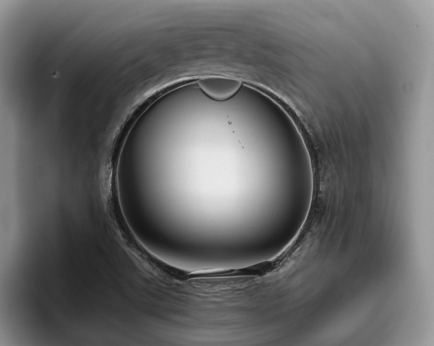 X0000096201507200801181330