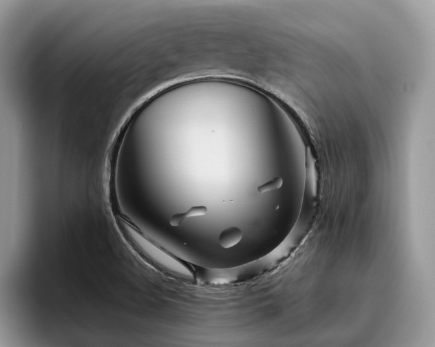 X0000096201508200801181330
