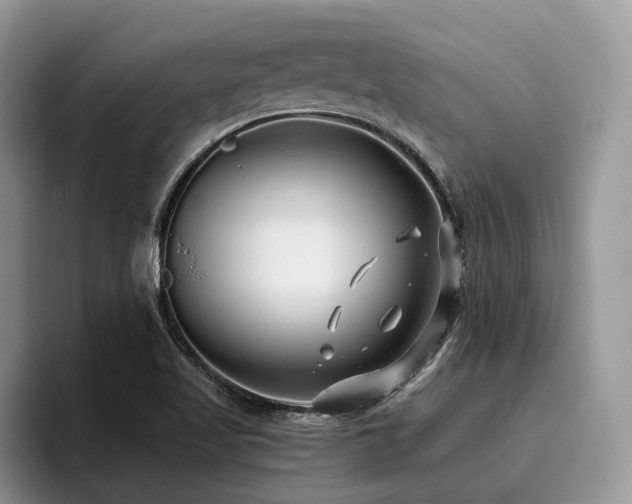 X0000096201509200801181330
