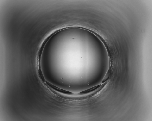 X0000096201510200801181330