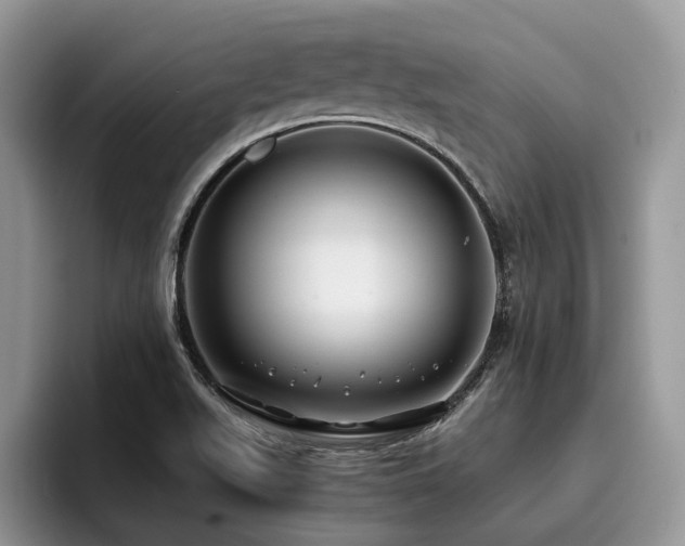 X0000096201511200801181330