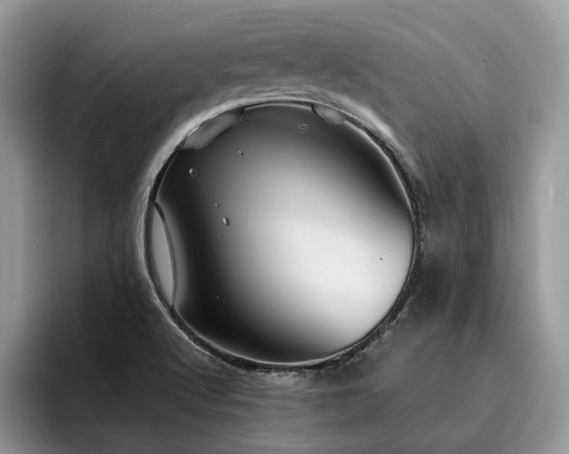 X0000096201512200801181330