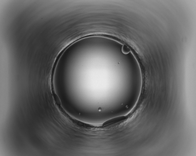 X0000096201513200801181330
