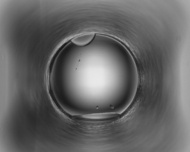 X0000096201515200801181331