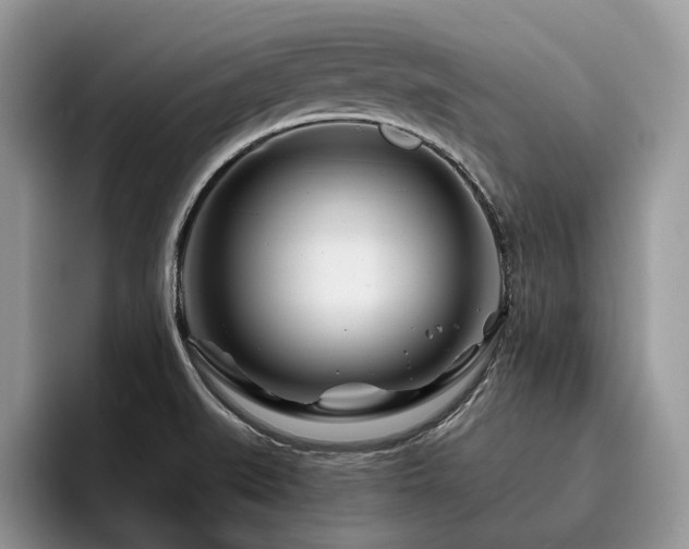 X0000096201519200801181331