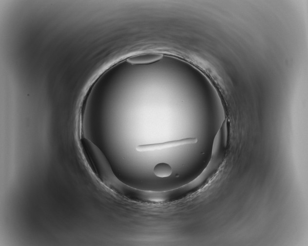X0000096201520200801181331