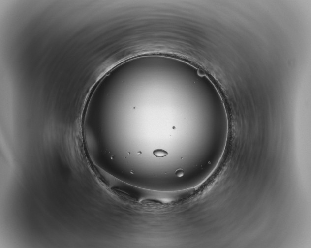 X0000096201521200801181331