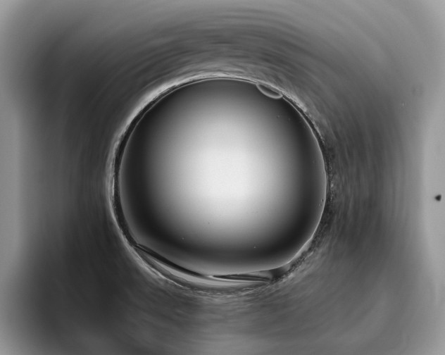 X0000096201523200801181331
