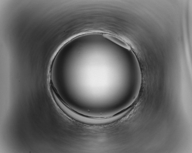 X0000096201524200801181331