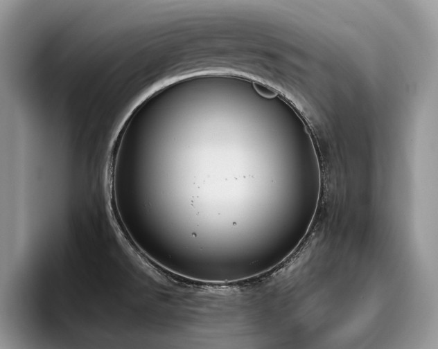 X0000096201526200801181331