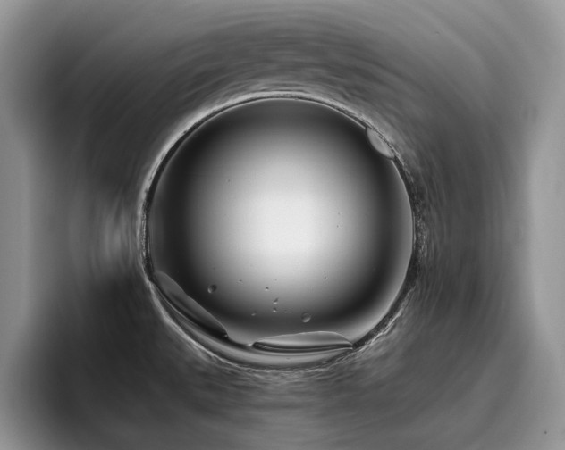 X0000096201527200801181331
