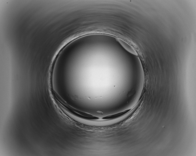 X0000096201530200801181331
