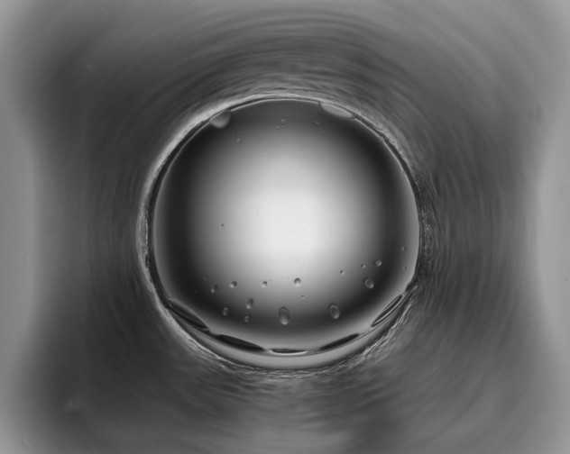 X0000096201531200801181331