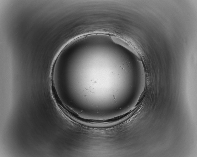 X0000096201532200801181331