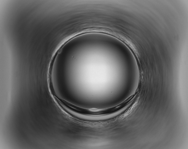X0000096201533200801181331