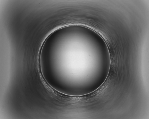 X0000096201534200801181331