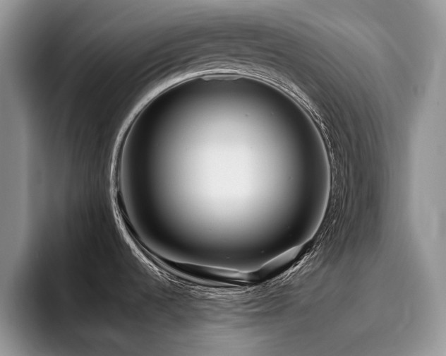 X0000096201536200801181331