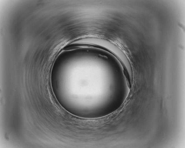 X0000096200001200801251022