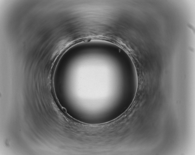 X0000096200002200801251022