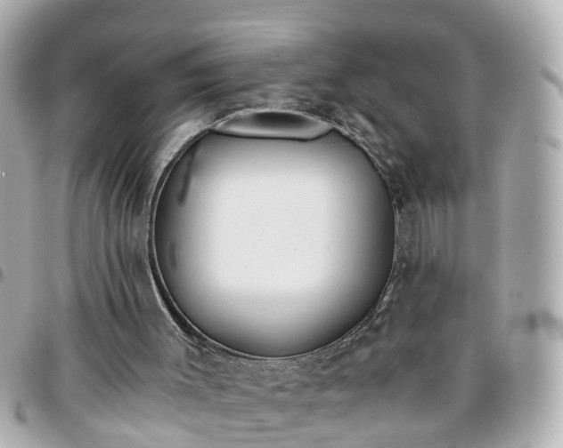 X0000096200003200801251022