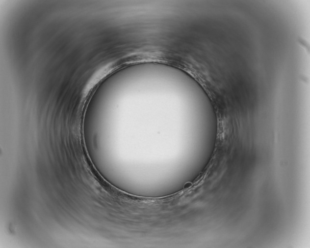 X0000096200004200801251022