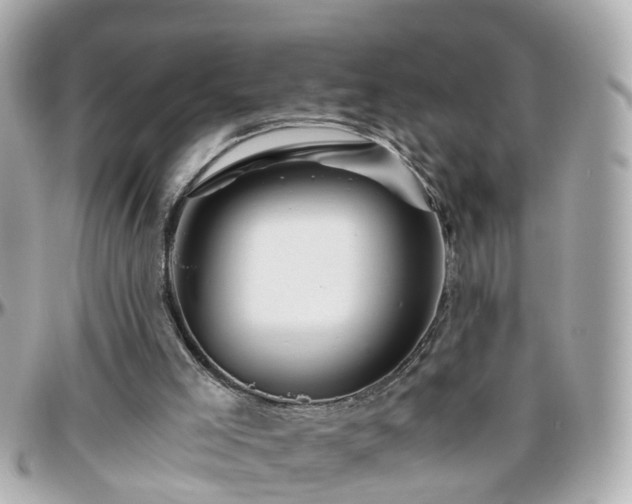 X0000096200005200801251022