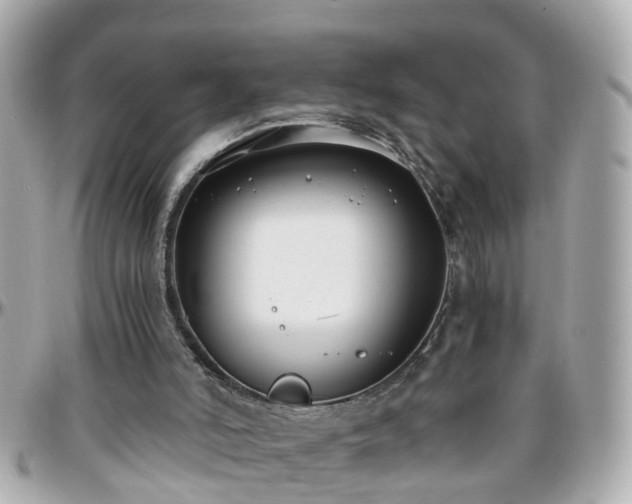 X0000096200006200801251022