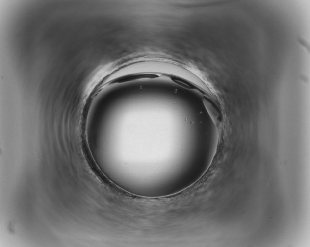 X0000096200007200801251022