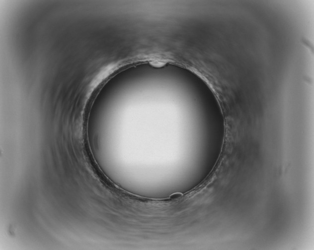 X0000096200008200801251022