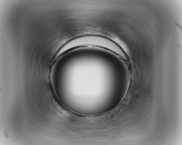 X0000096200009200801251022