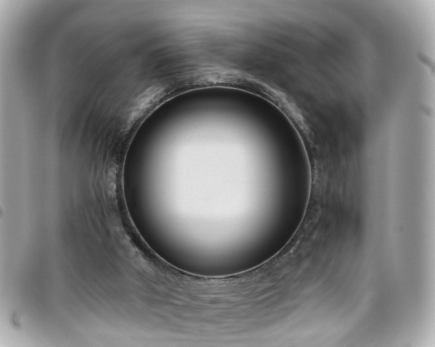 X0000096200010200801251022