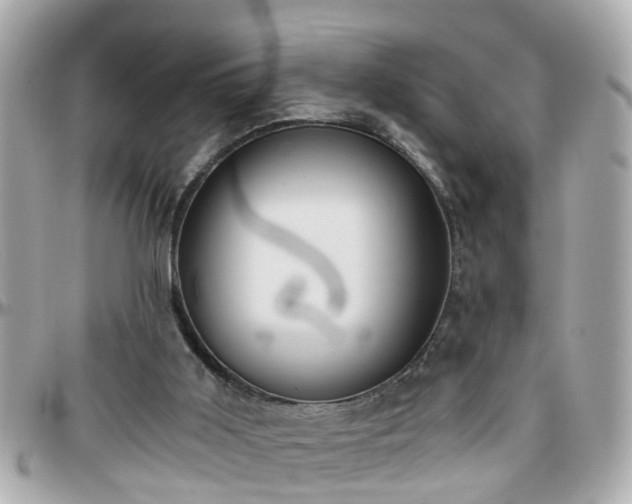 X0000096200011200801251022